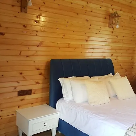 Homestay Abant Bahceli Kosk *
